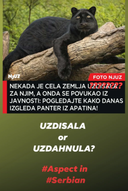 Practicing Serbian Aspect